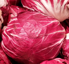Radicchio und Rotkraut, Blaukraut bleibt Blaukraut Radicchio und Rotkraut, Blaukraut bleibt Blaukraut